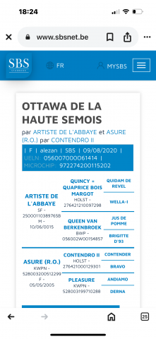 Tr&egrave;s belle jument de 5 ans 