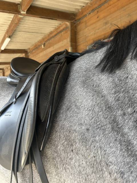 Selle Passier Sirius