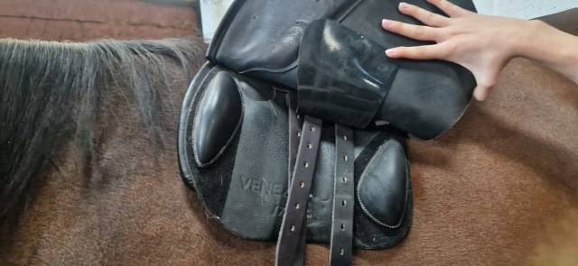 		Selle Acavallo 17&rdquo; 