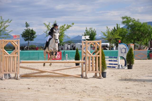 Poney D CSO/ CCE Connemara x Pur sang Arabe