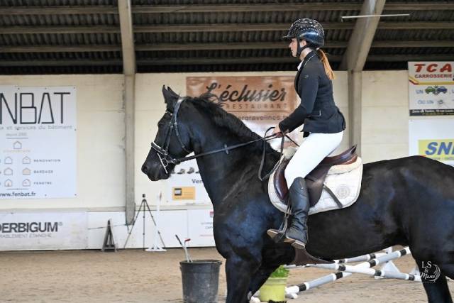 Selle Bruno delgrange 18 pouces