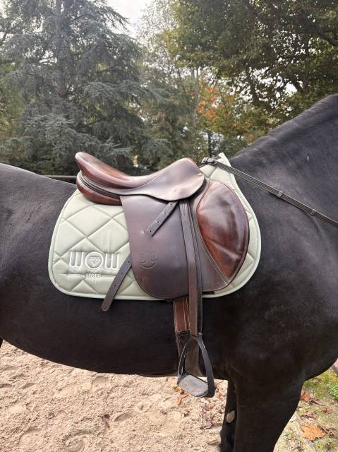 Selle Bruno delgrange 18 pouces