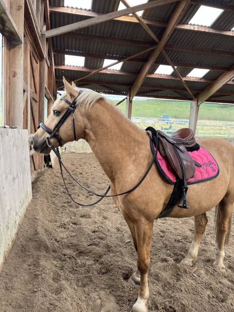 Selle &Eacute;ric thomas 