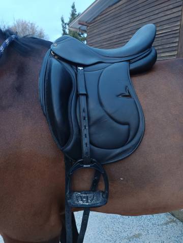 Selle de dressage Darroze 
