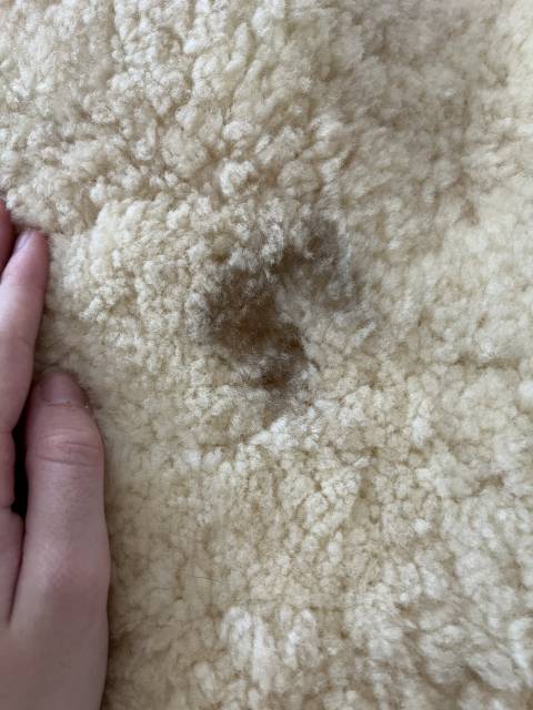 Amortisseur D&eacute;cathlon 