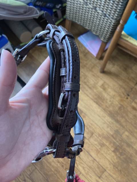 Bridon anatomique marron