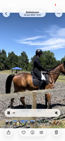 Veste de concours dressage (Frac) Montar