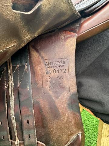 Selle d'obstacle ANTARES 17.5