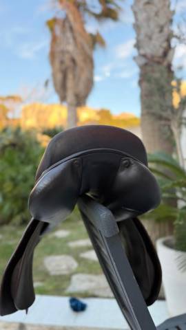 Selle mixte Renaissance 