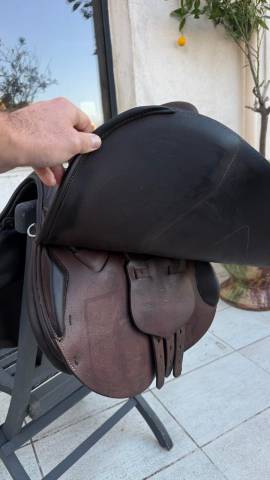 Selle mixte Renaissance 