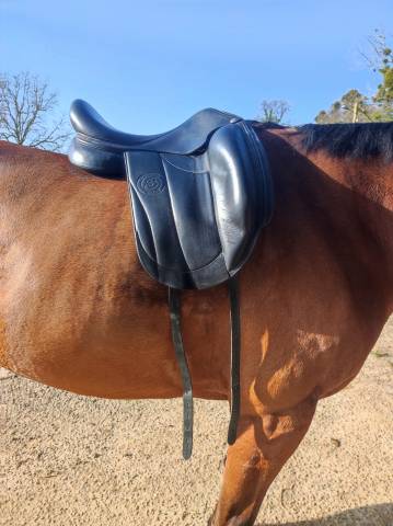Selle dressage Forestier
