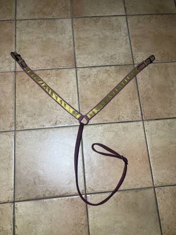 Collier de chasse neuf vaquera garocha  Spectacles ib&eacute;r