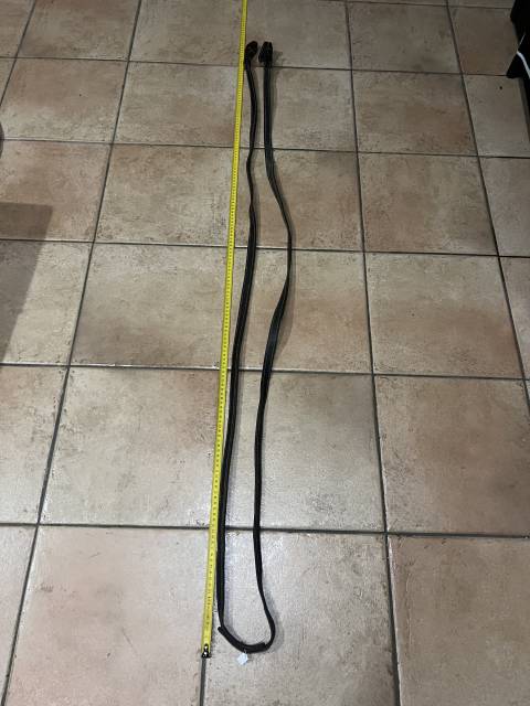 R&ecirc;nes Vaquera garocha ib&eacute;rique espagnol portugais 