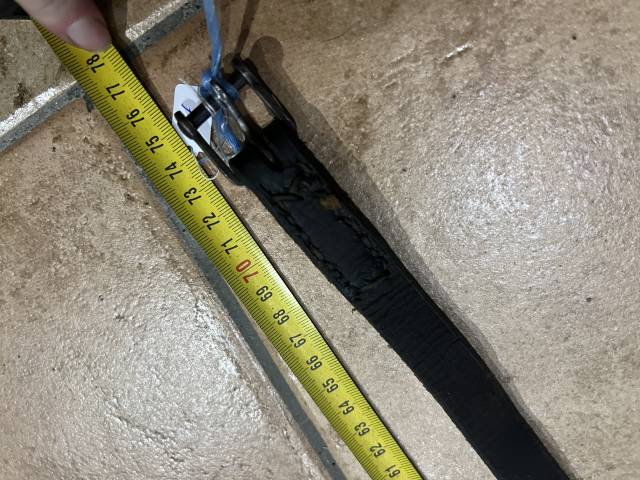 Lire texte &Eacute;quitation cheval chien cuir muserole 