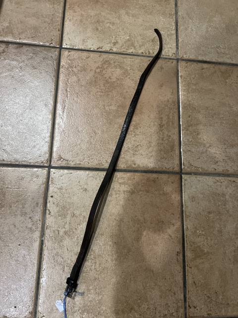 Lire texte &Eacute;quitation cheval chien cuir muserole 