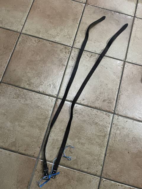 Lire texte &Eacute;quitation cheval chien cuir muserole 