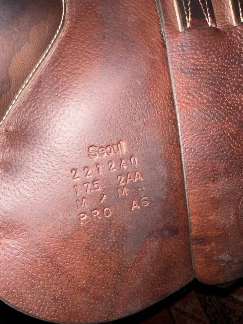 Selle S&eacute;oul forestier 17,5