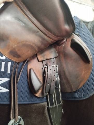 Selle antares confort 2 