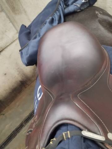 Selle antares confort 2 