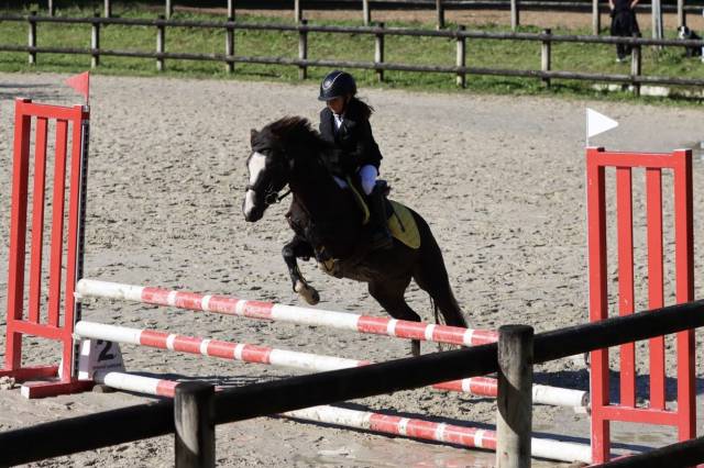 Poney B