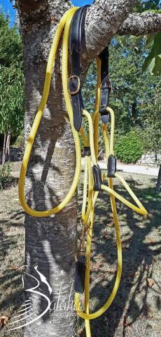 Licol &eacute;thologique 