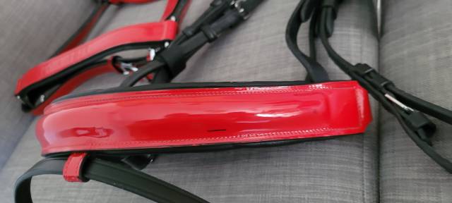 Filet + Licol rouge verni Taille Cheval