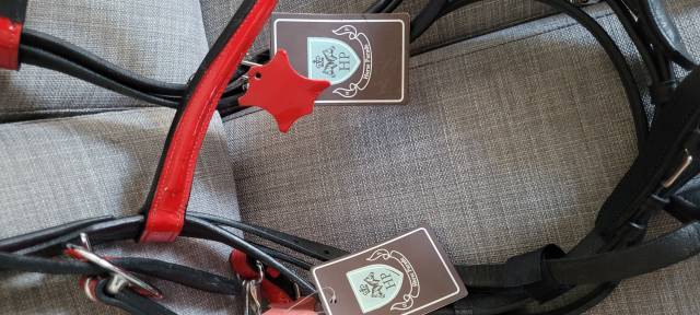 Filet + Licol rouge verni Taille Cheval