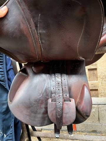 Selle mixte ANTARES 17,5 / 2A