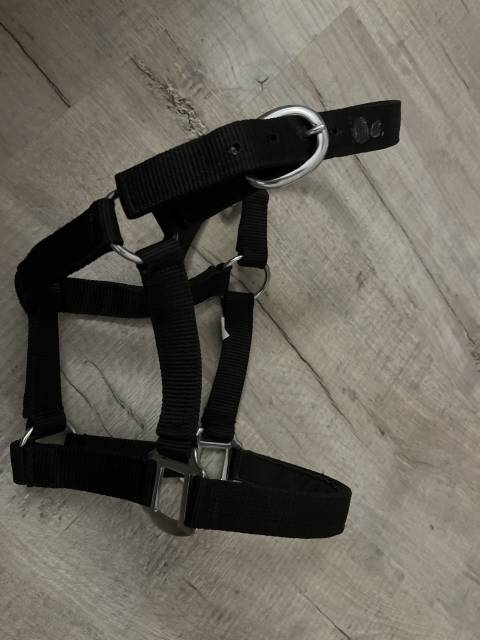 Licol noir taille shetland