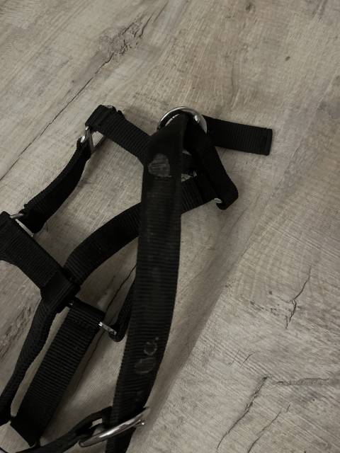 Licol noir taille shetland