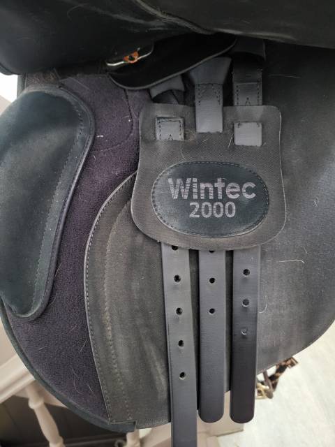 Selle wintec noir 17 ́.5 