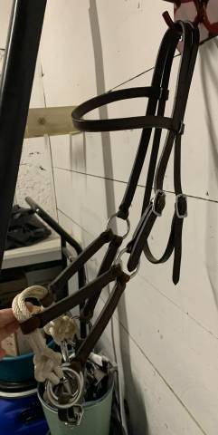 Bridon SidePull Cheval