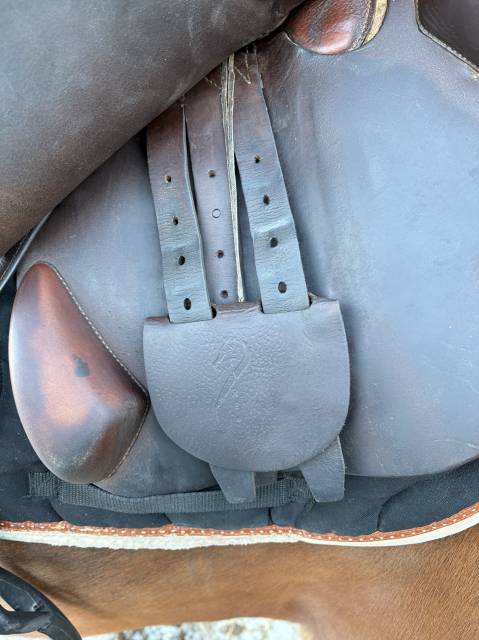 Selle Antares 17 pouces 