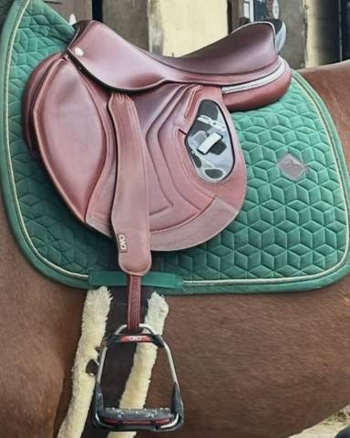 CWD en parfait &eacute;tat