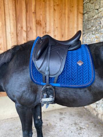 Selle de dressage Devoucoux 