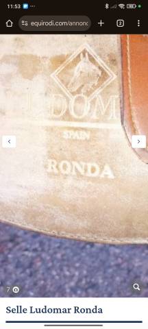 Selle ludomar ronda 