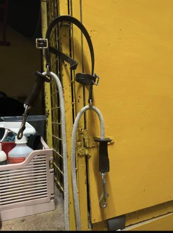 Gogue command&eacute; avec r&ecirc;nes 