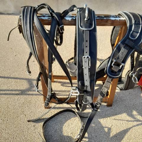 Harnais synth&eacute;tique