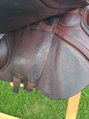 Selle d'obstacles CWD CE02 17.5 3C 2021