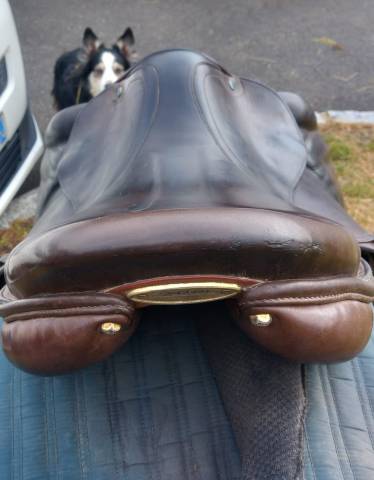 Selle obstacle Stubben Zaria 17,5"