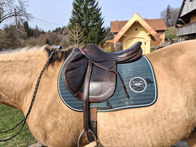 Selle obstacle Stubben Zaria 17,5"