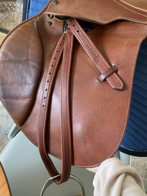 Vends selle d&rsquo;obstacle Zaldi mod&egrave;le new star Taille 17 