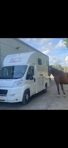 Camionnette Fiat Ducato