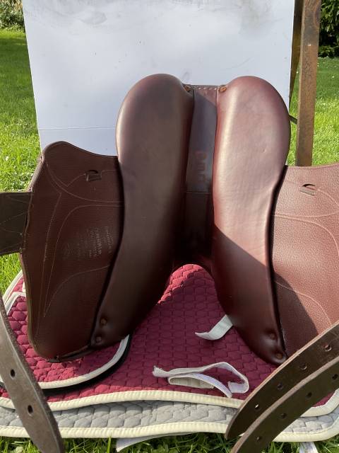 Selle Chiberta Lab 17,5 de 09/2024