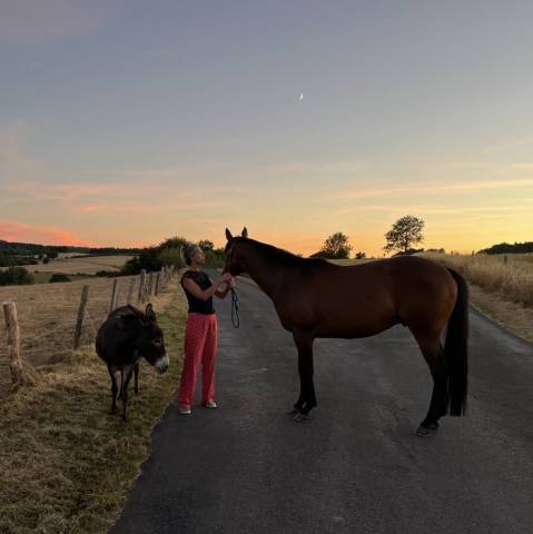 &Agrave; vendre &ndash; Silver (Un Certain Sourire)
