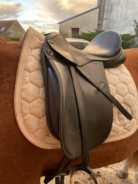 Selle dressage Anky 18 pouces