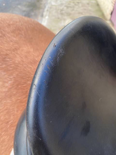 Selle dressage Anky 18 pouces