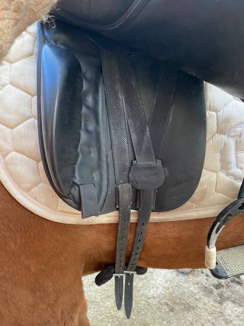 Selle dressage Anky 18 pouces