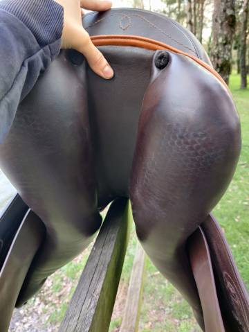 Selle mixte Prestige Venus VS