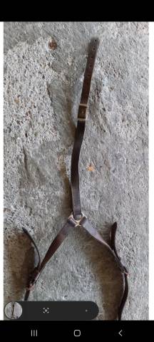 Collier de chasse de randonn&eacute;e Taille grand cheval 